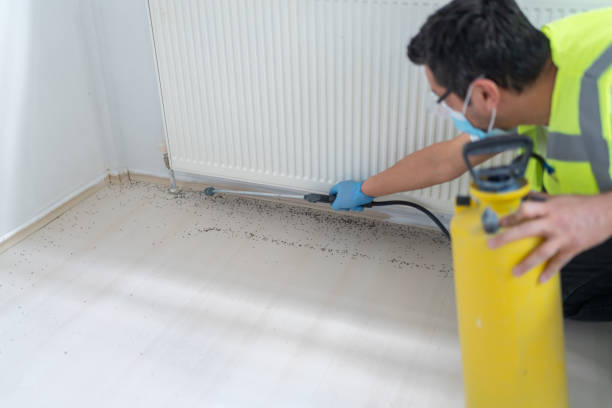 Best Commercial Pest Control Services  in Royal Hawaiian Estates, HI